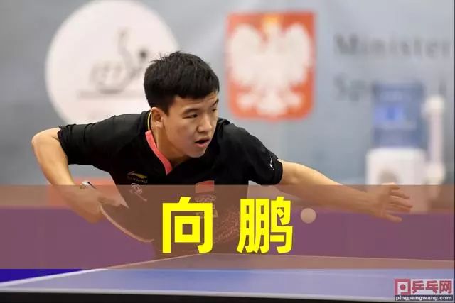 裁判和教练 裁判和教练