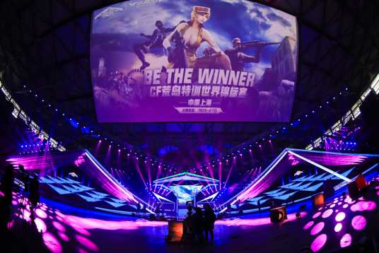 战略决策完 战略决策完