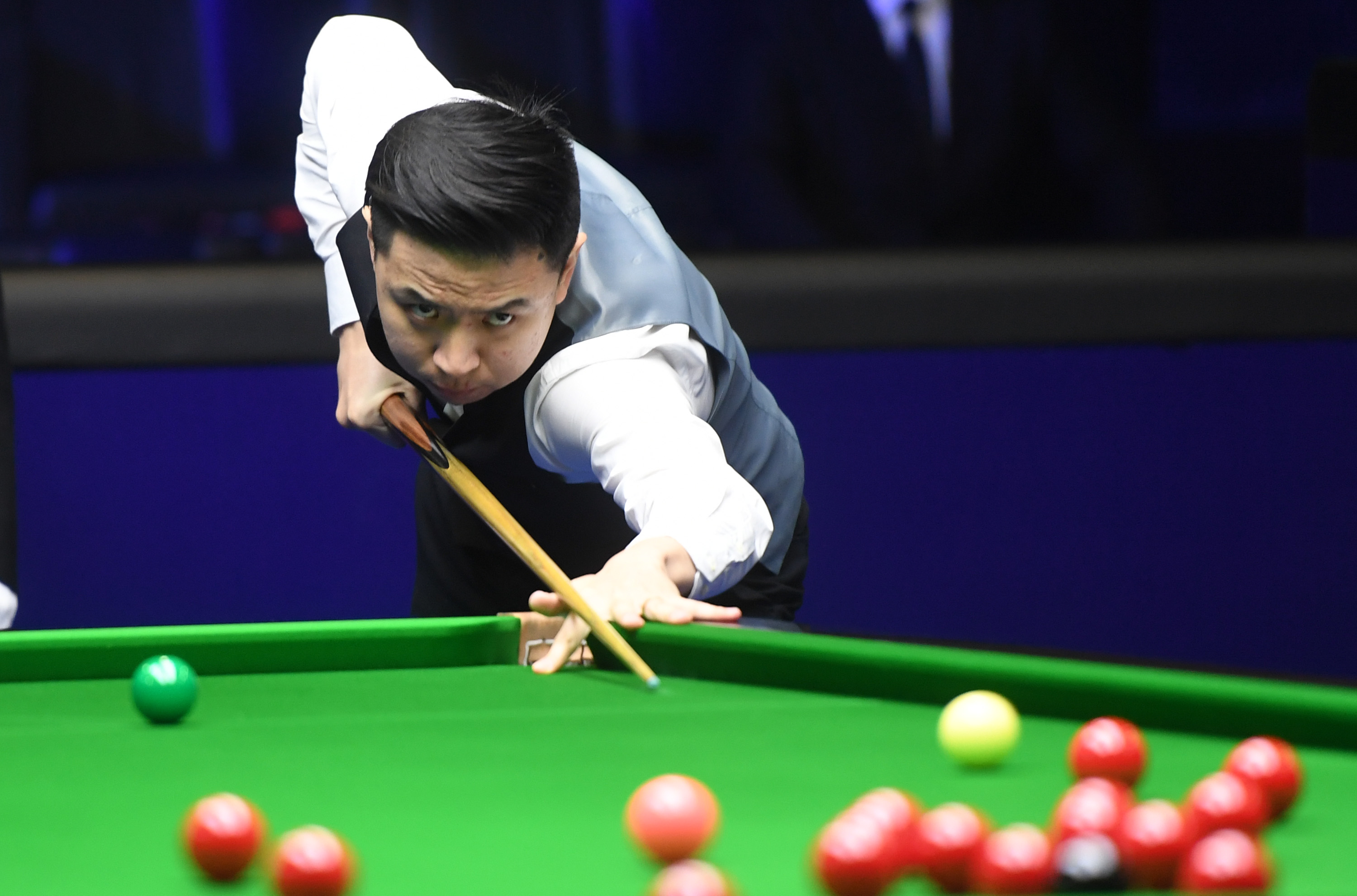 布朗尼的每 布朗尼的每