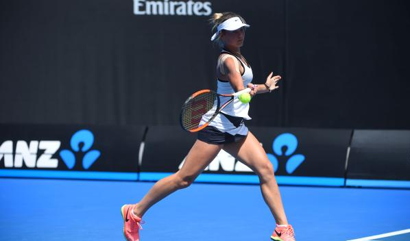 他的个人历 他的个人历