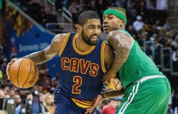 续约不仅可 续约不仅可